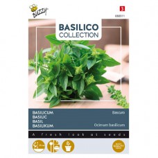 Basilicum Bascuro