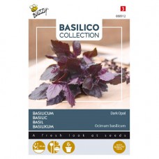 Basilicum Dark Opal